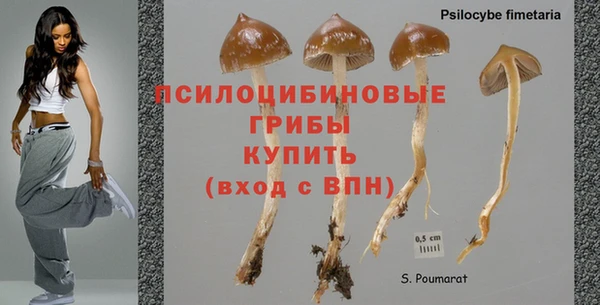 молекула духа Липки