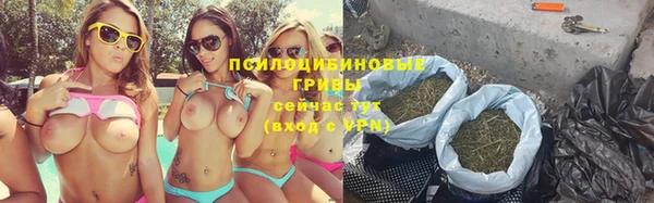 молекула духа Липки