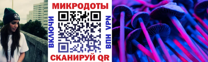 Псилоцибиновые грибы GOLDEN TEACHER  закладка  Медвежьегорск 