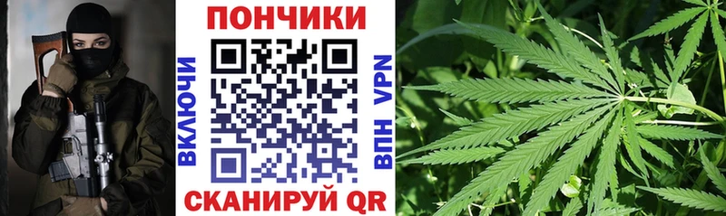закладка  Медвежьегорск  Каннабис Ganja 